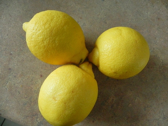Соленые лимоны. Ливанский вариант. Афтар: КонАццкий Syndrom