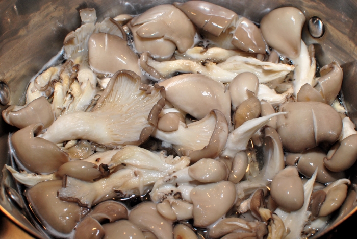 Салат грибной из грибов. Аффтар: Жук