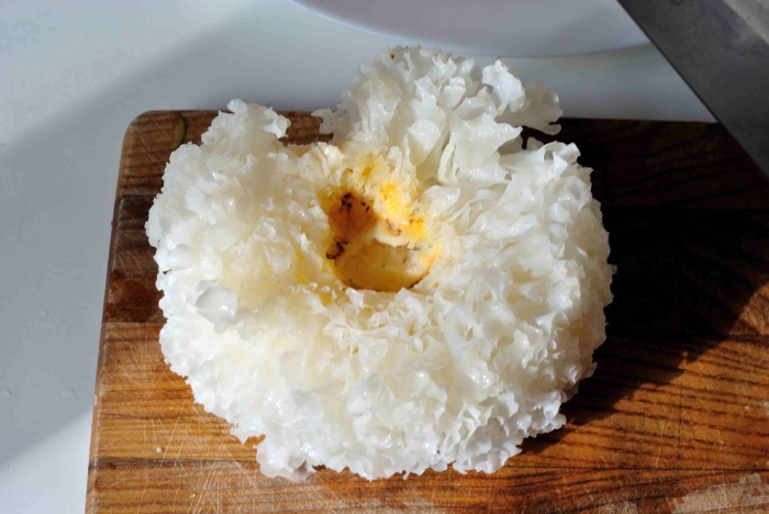 Ледяной (коралловый, снежный, тримелла) гриб, экстра закусочный. Аффтар: Жук