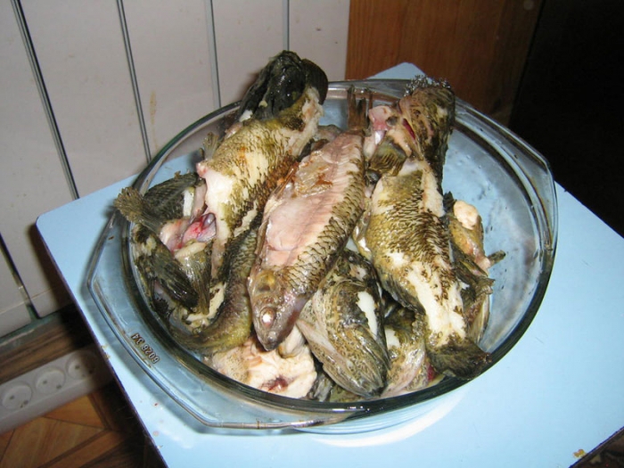 Рыба тушёная в сметане. Афтар: Изя