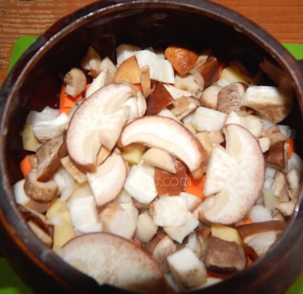 Суп из мяса грибов
